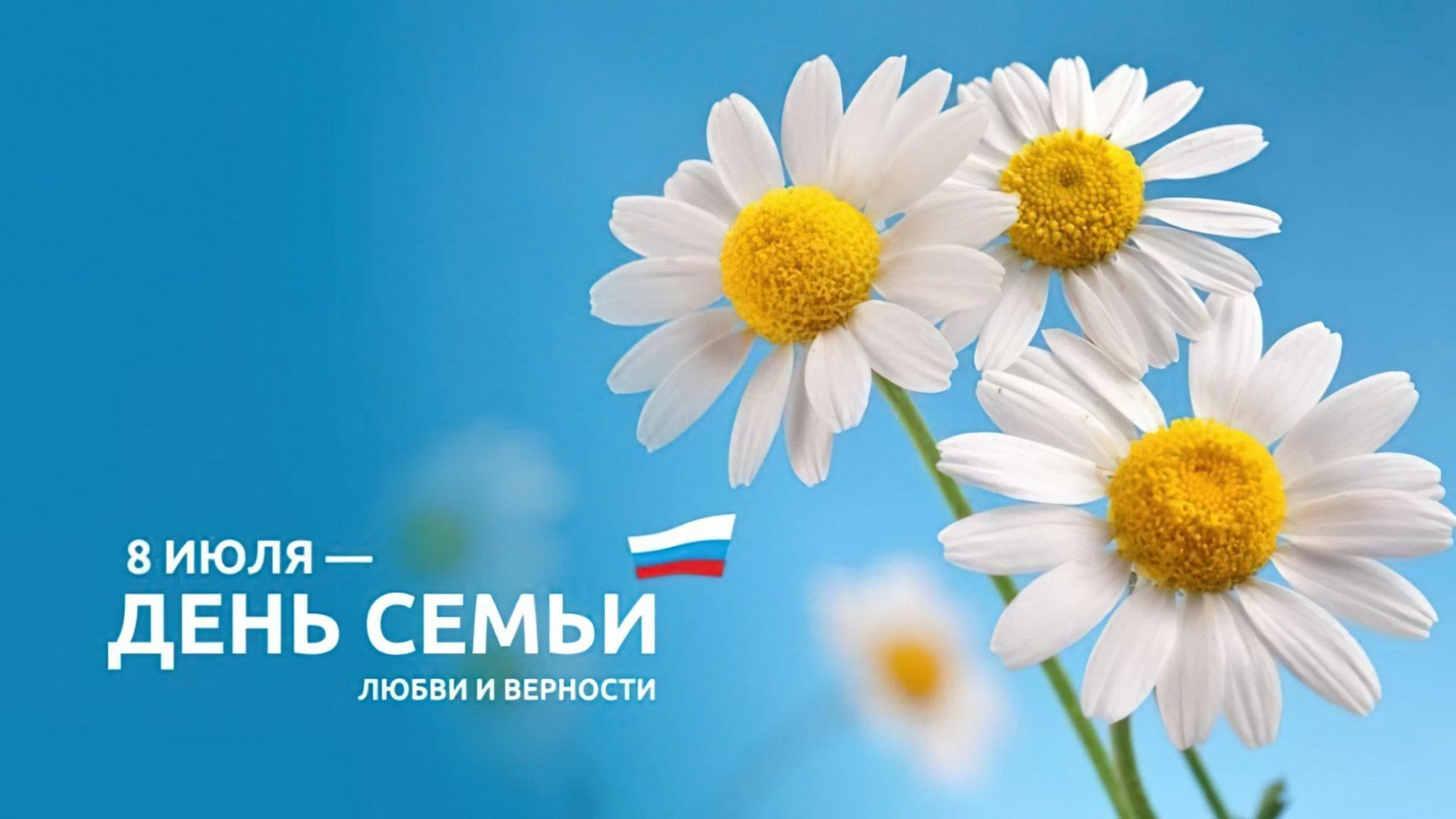 Уважаемые коллеги, друзья и партнеры!